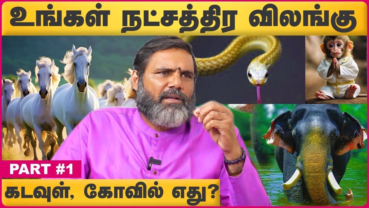 27 நட்சத்திரங்களின் யோனி இன மிருகங்கள் மற்றும் குணாதிசயங்கள்| Astrologer Ponmudi | Cosmo View