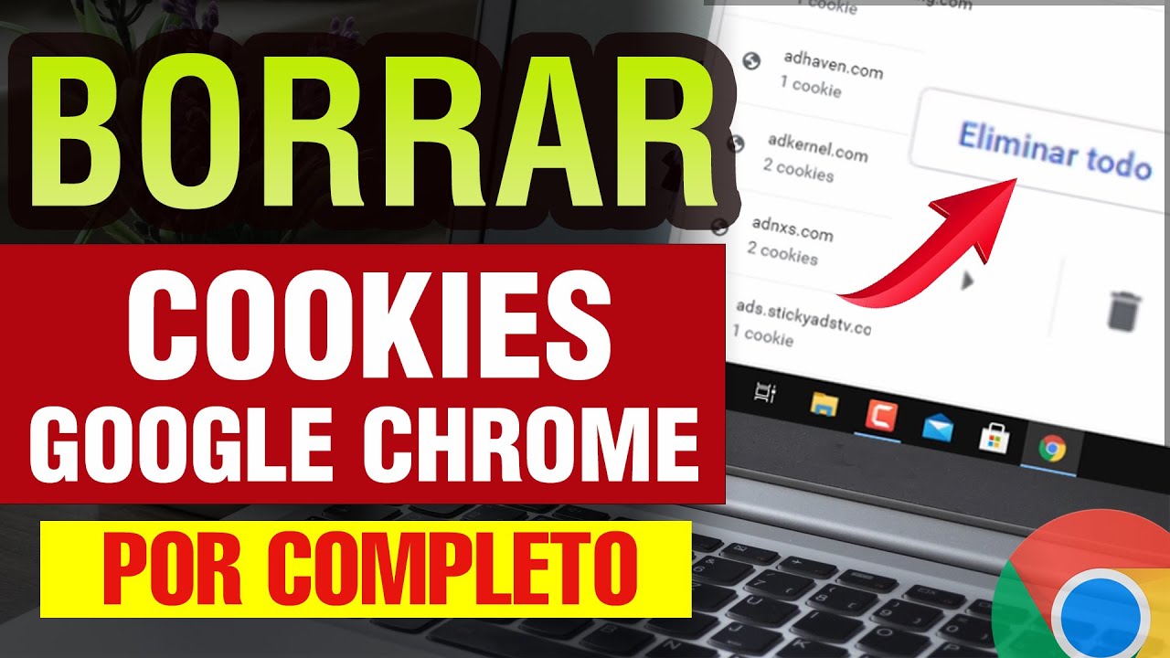 C&oacute;mo borrar las Cookies de Google Chrome | eliminar las cookies de google chrome