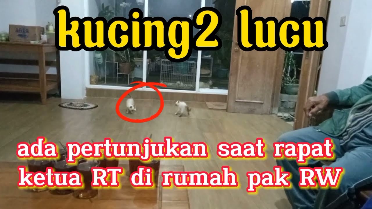 momen lucu saat rapat RW, ada pertunjukan gratis jadi tonton peserta #kucinglucu