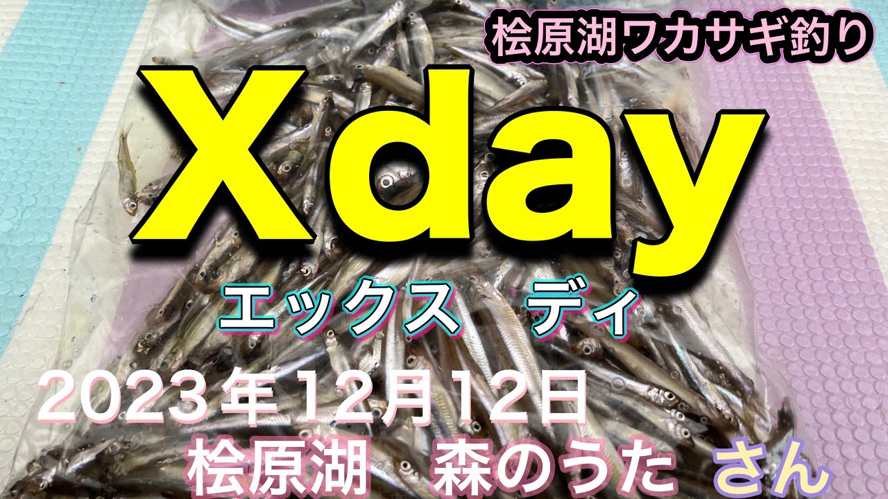 Ｘ-day エックスデーは釣れるのか？　桧原湖ワカサギ釣り　2023年12月12日　森のうたさん#わかさぎ釣り