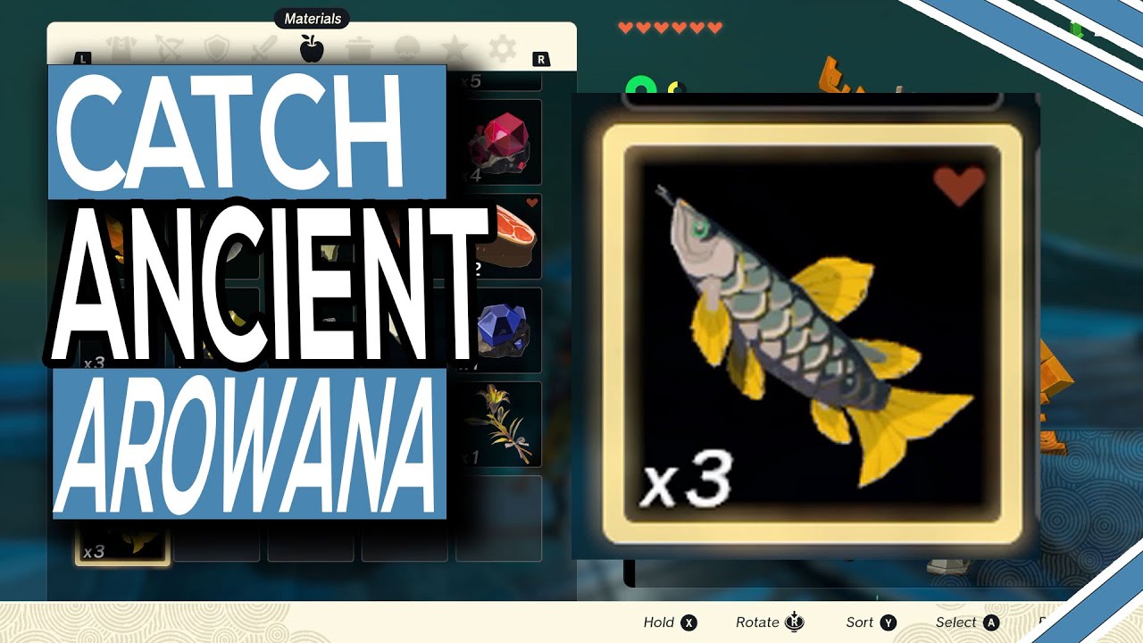 Where To Catch Ancient Arowana In Legend Of Zelda Tears Of The Kingdom