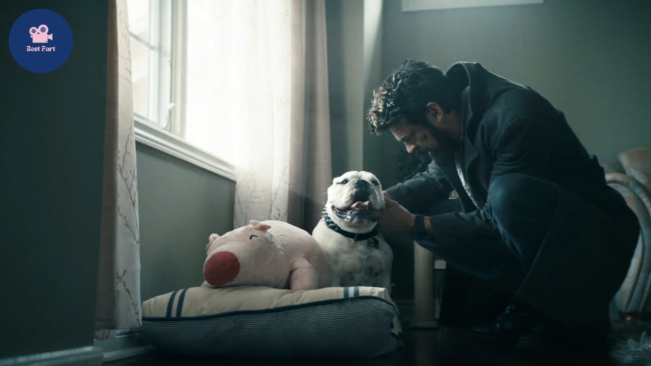The Boys (Season 2) - Butcher reunites with Terror | Best Part | Terror the Bulldog