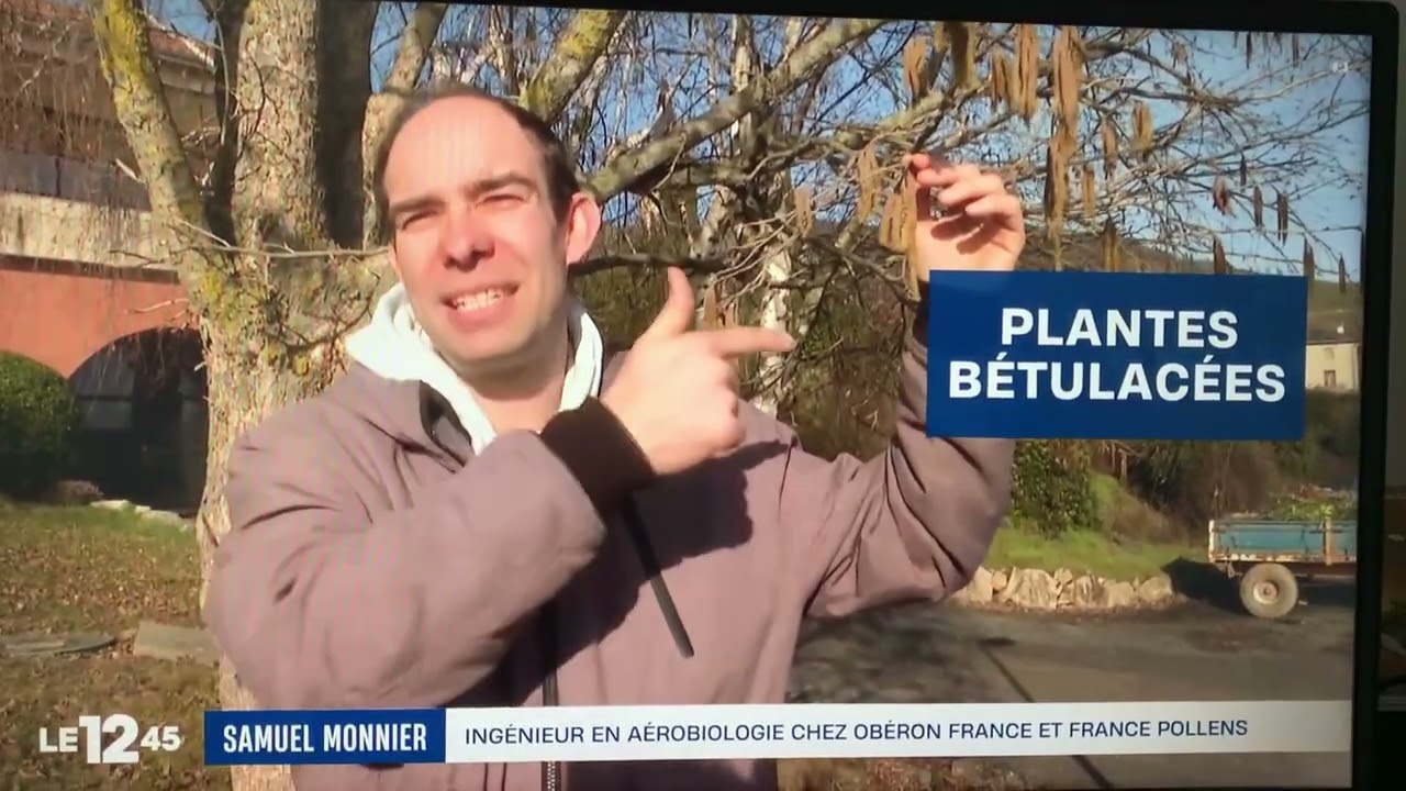 Reportage sur les pollens