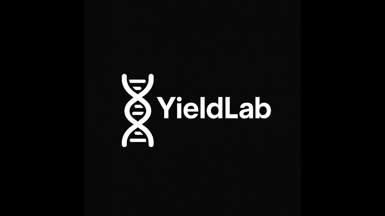 Yield Lab - Feb 4th 2026