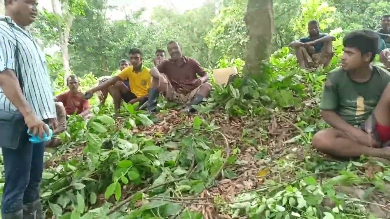 ইনছাফ খামার বাড়ির পরিষ্কার- পরিচ্ছন্ন করা। 25-07-2024
