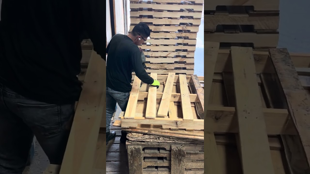 El compa de alado 🔨ya se defiende, 🔨ya se pone al tú por tu👍👍👍
