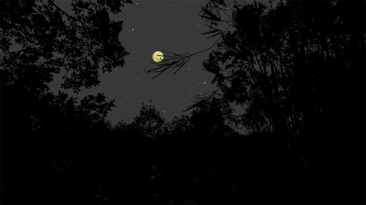 Whispers of the Midnight Forest ☾ Dark Atmospheric Nature ASMR ⛧ Darkmospheria