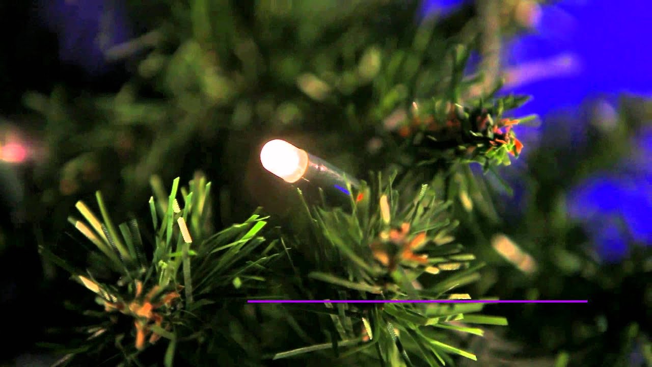 Koppelbare kerstverlichting LED &bull; Kerstverlichting Buiten
