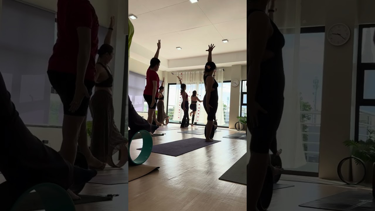 WHEEL YOGA DANCE PRACTICE 🥰 02.14.2026