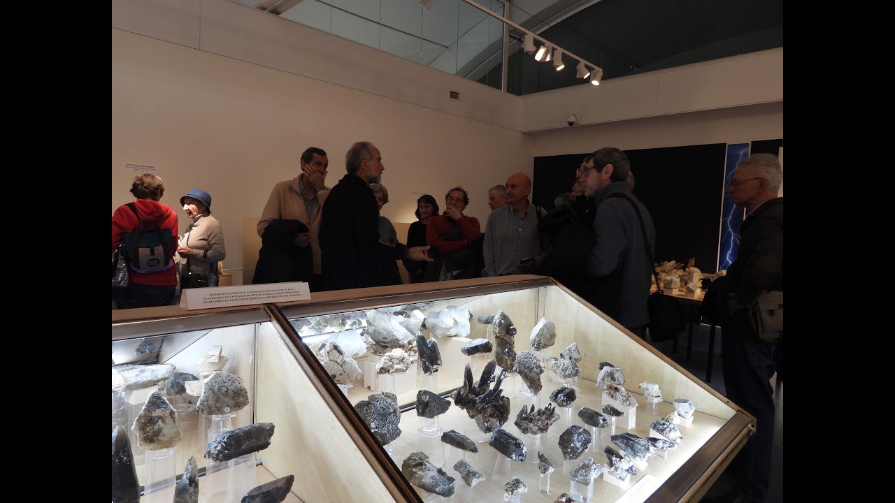 Ciencias de la tierra: la gran diversidad geológica en la Sala Baluarte. Inauguración.