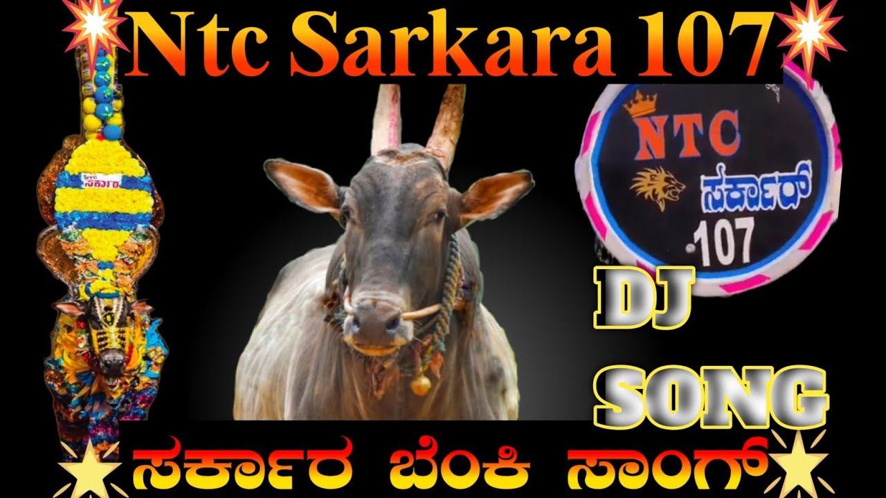 NTC Sarkara New DJ Song|| NTC ಸರ್ಕಾರ ಸಾಂಗ್ ❌No harm was done to anyone or any animal in this video.❌