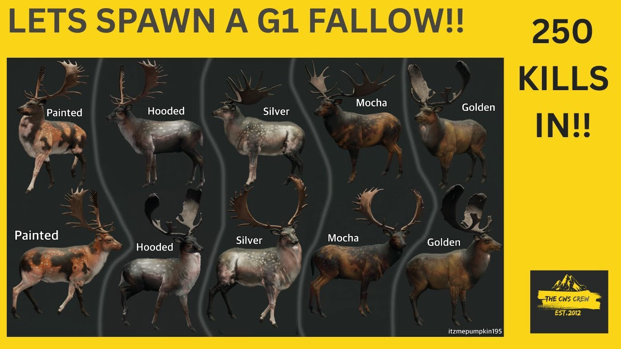 LETS GET A GREAT ONE TAHR AND FALLOW!!! COTW STREAM!