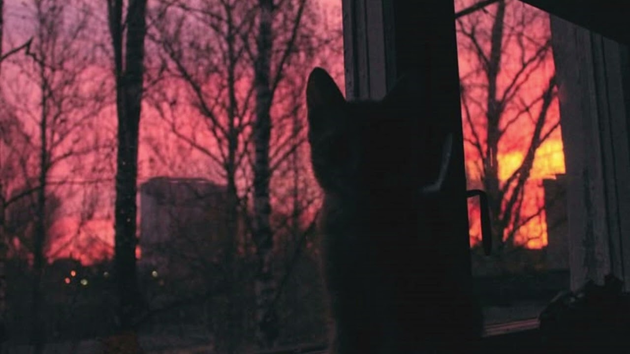 shoegaze midwest emo playlist vol.4
