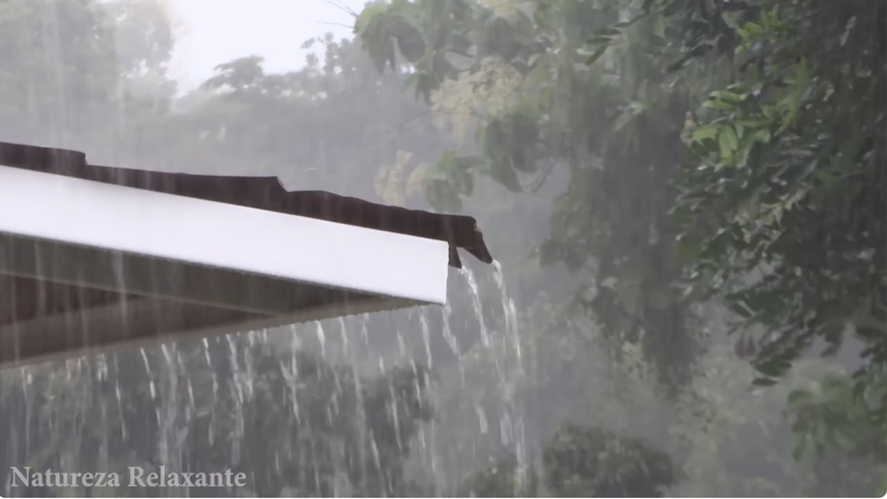 Rain Sounds for Sleeping - Sound of Heavy Rainstorm & Thunder on Tin Roof in the  Forest