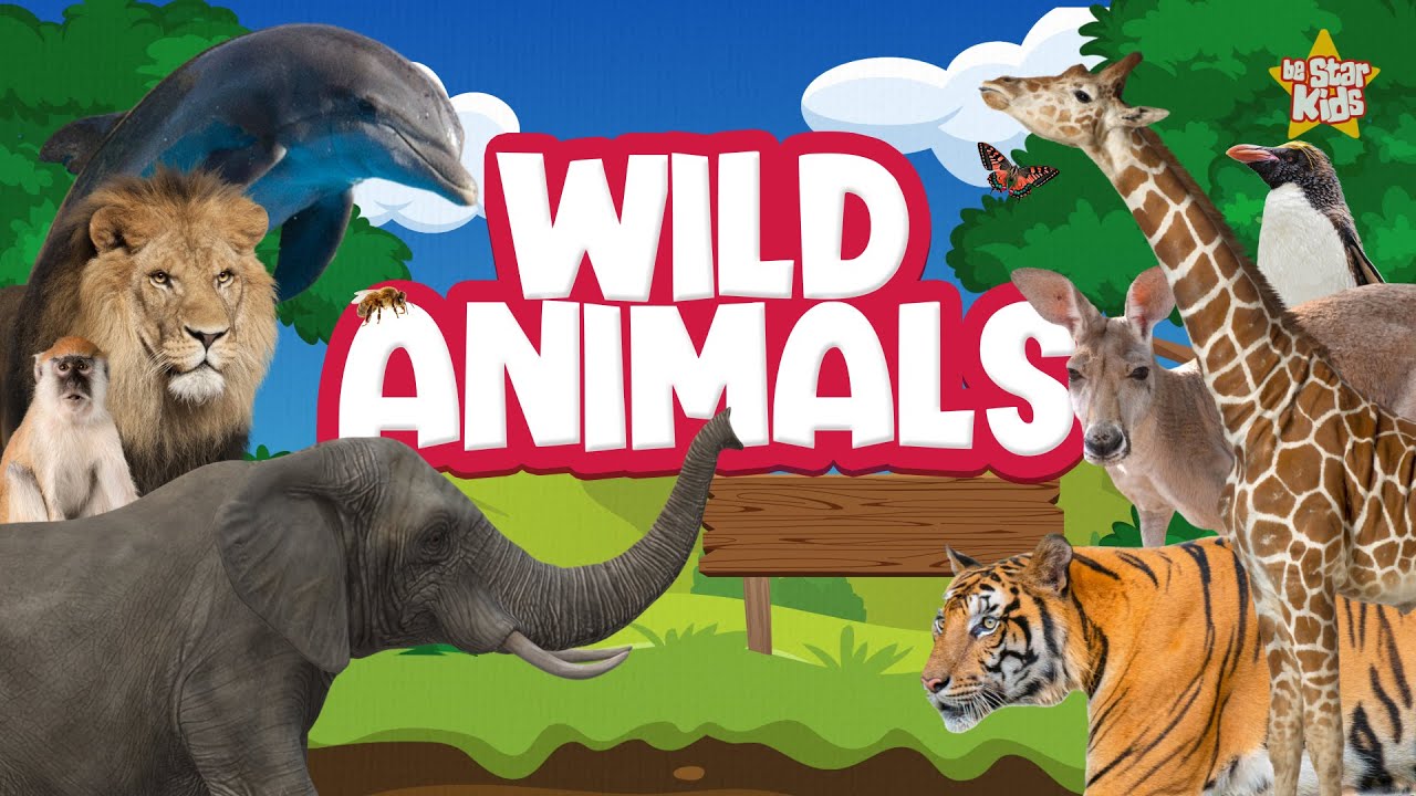 Learn Wild Animals Name and Sounds for Kids | BeStar Kids - ABC Animals
