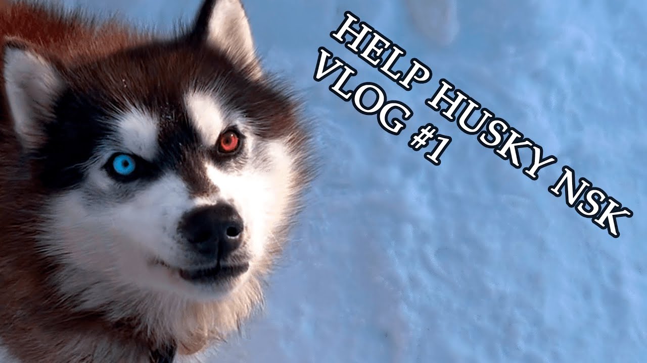 HH NSK VLOG #1. Пилот