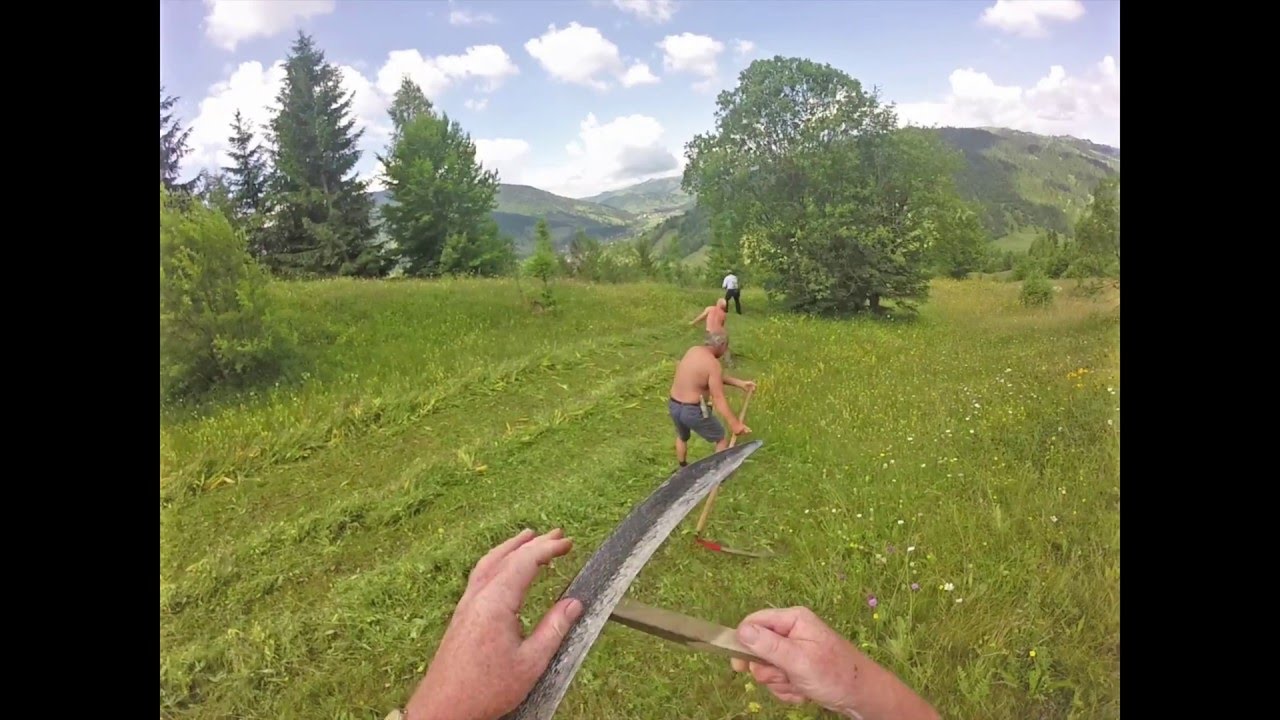 Scythe  mowing in Transylvania with gopro