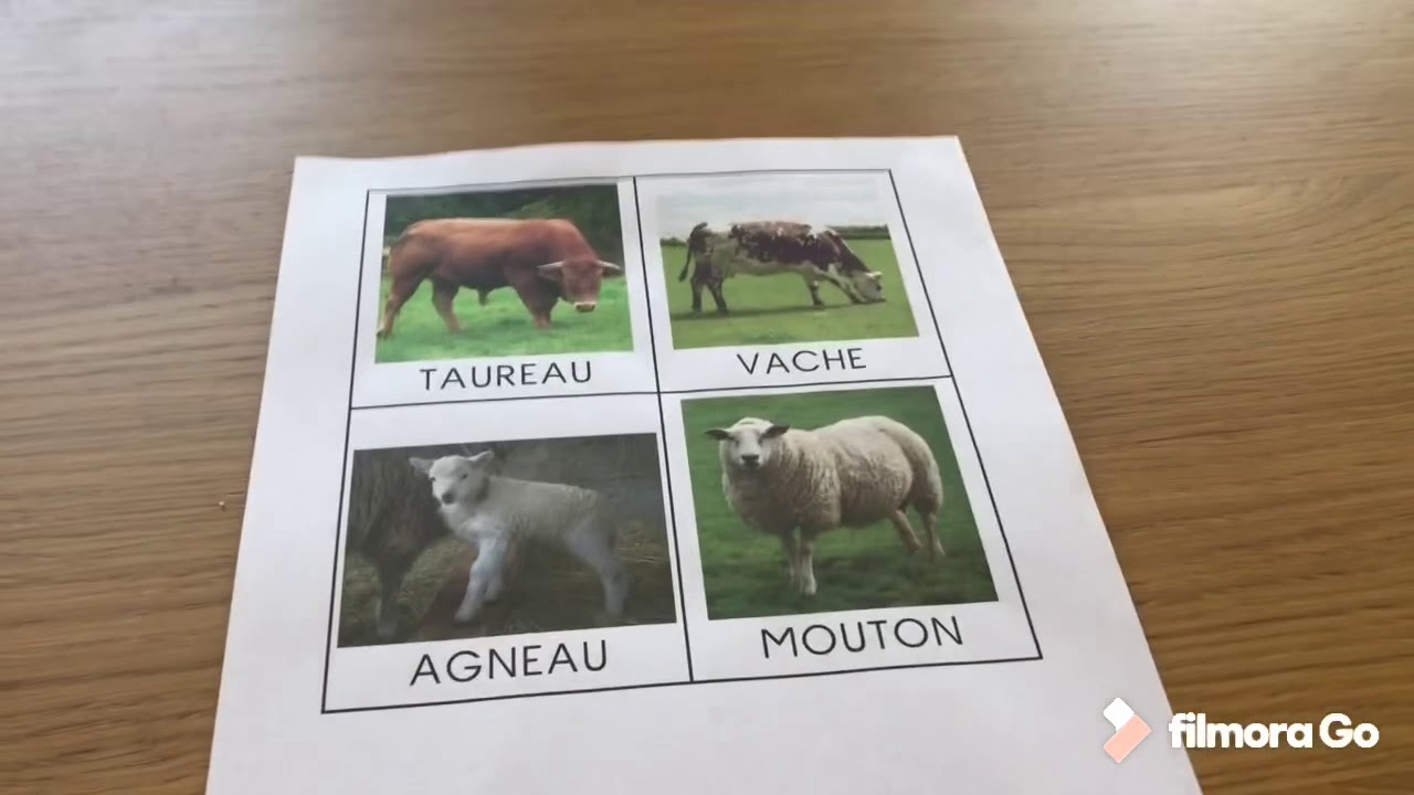 PS : écriture des noms des animaux de la ferme avec des lettres mobiles