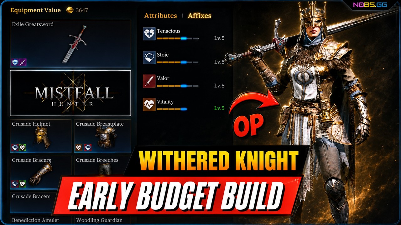 Withered Knight Budget Build ( Blue ) Cheap and Strong!
