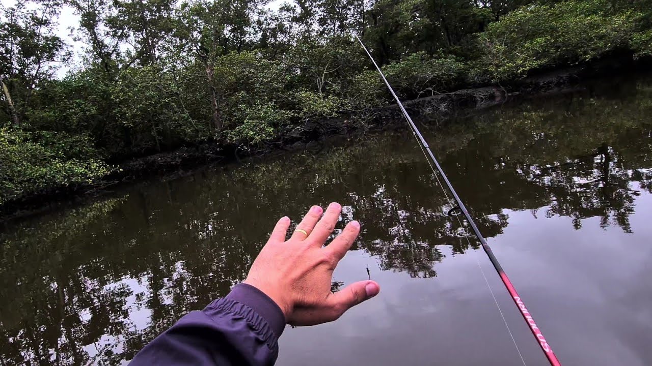 Impossível não pescar robalo com esta Técnica - Pesca Ultra Light de robalos no Mangue