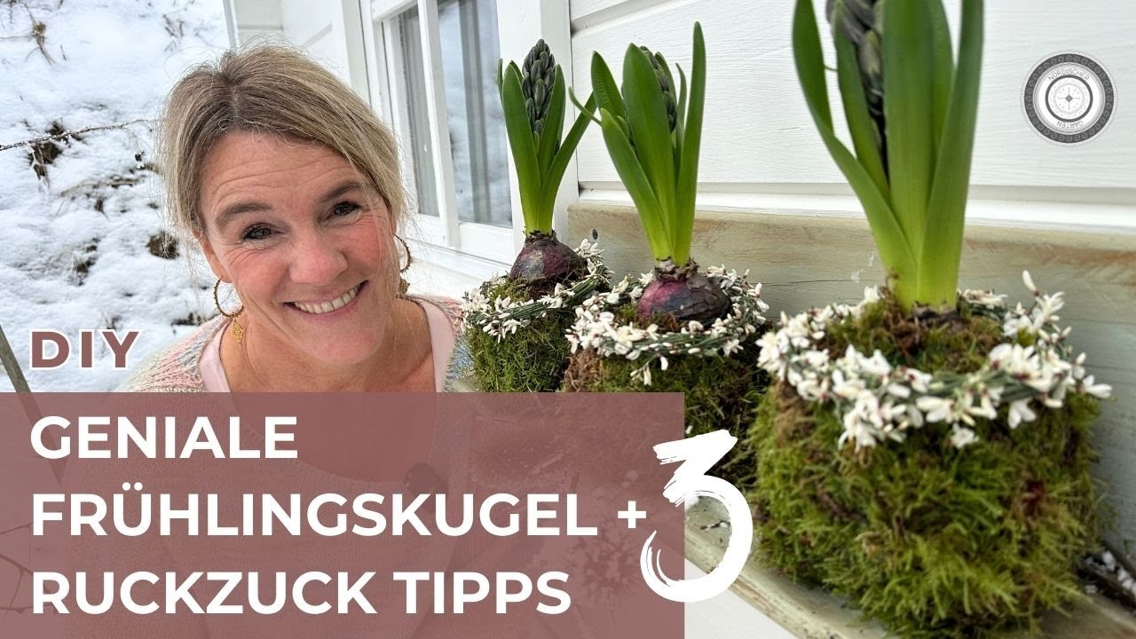 DIY - FRÜHLINGSTREND - Einfache Dekotipps mit HYAZINTHEN