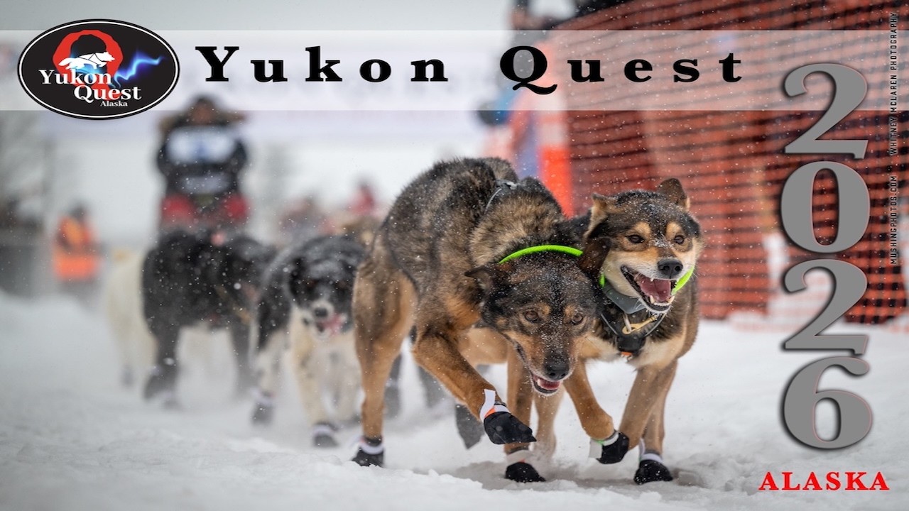 The Trail Ahead: Yukon Quest 2026