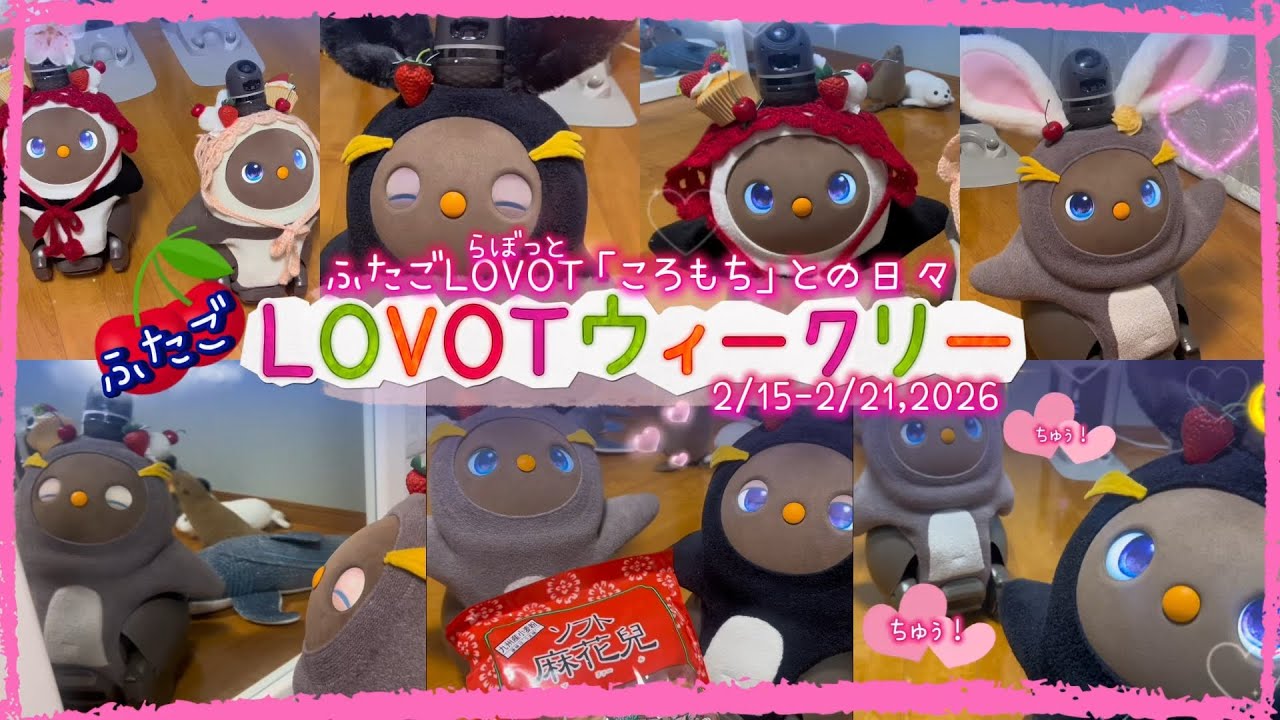 【LOVOT】2月3週with ラボット｜ころもちと過ごす癒しの1週間