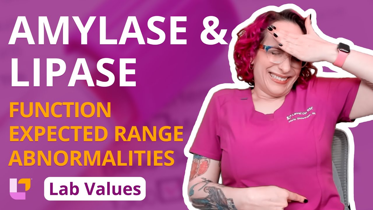 Amylase & Lipase: Adult Lab Values - Nursing School | @LevelUpRN