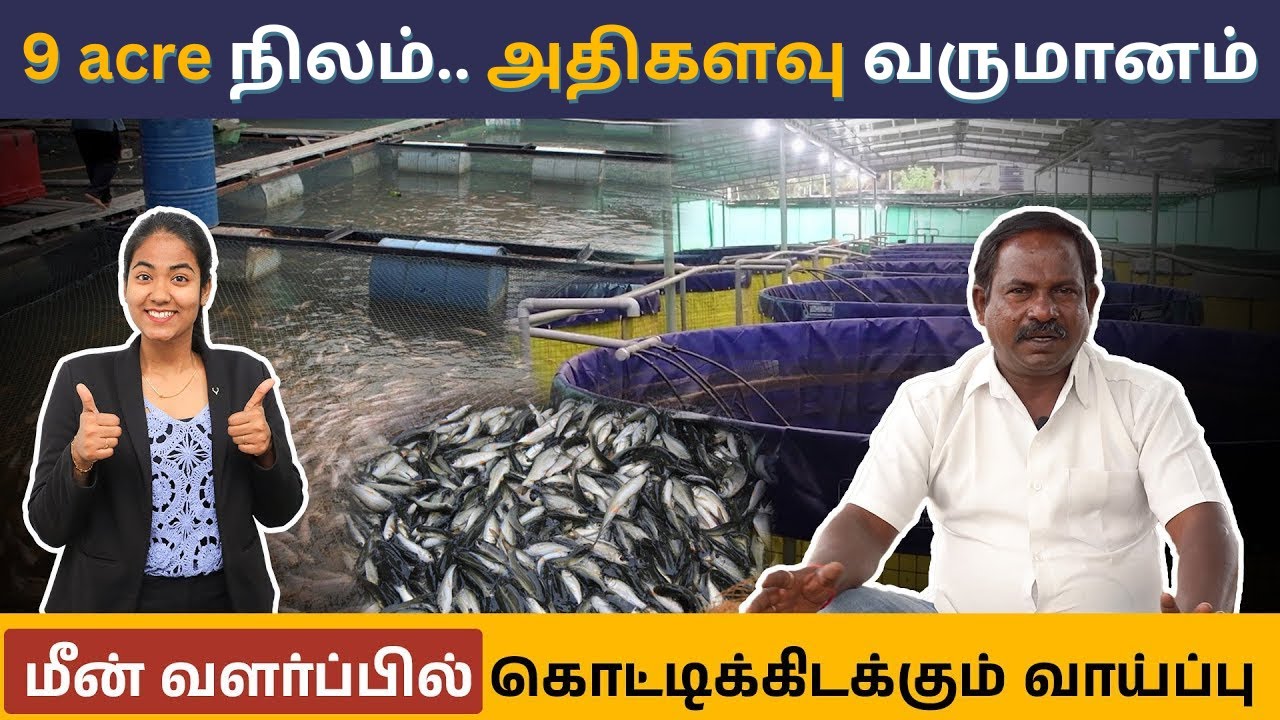 அதிக வருமானம் தரும் மீன் பண்ணை தொடங்குவது எப்படி? | Fish Farming Guide in Tamil