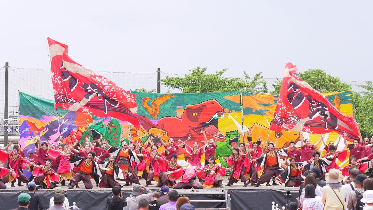 [4K] 愛知淑徳大学「鳴踊」　犬山踊芸祭 2024 日曜日
