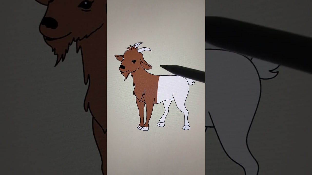 goat #goat #goats #drawing #coloring #painting #cute #kidsvideo #kids
