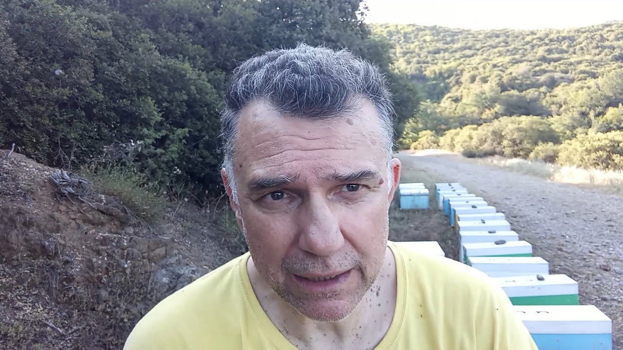 Λίγα λόγια και λίγη μελισσοκομία