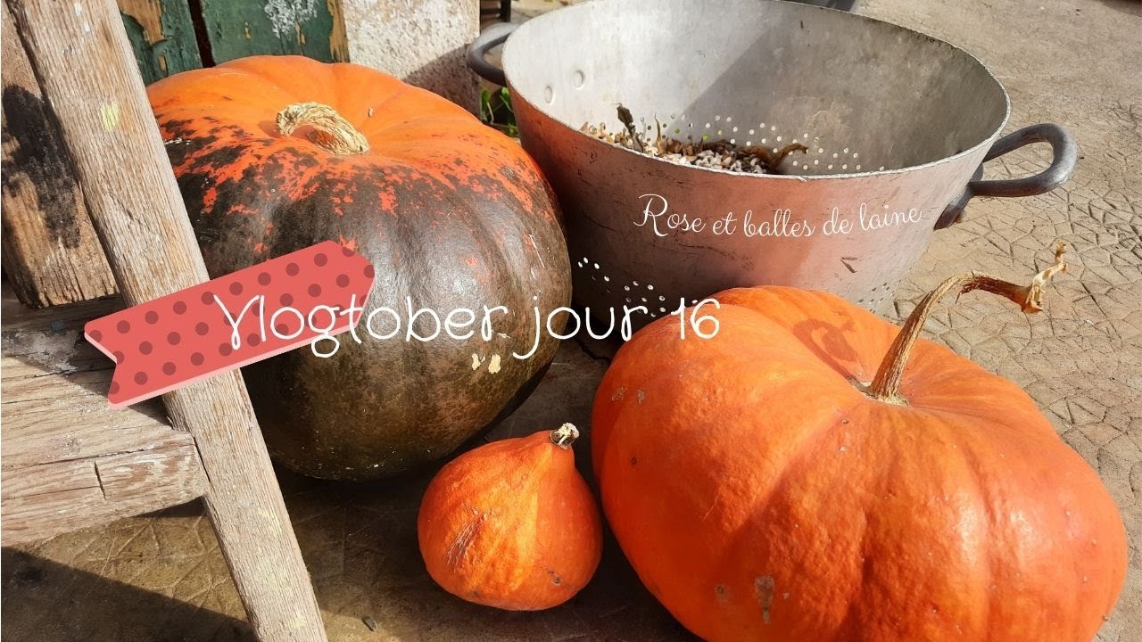 Vlogtober jour 16