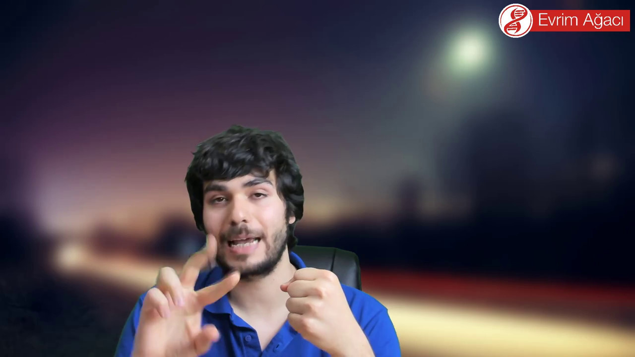 Sonsuzları Dizginlemek