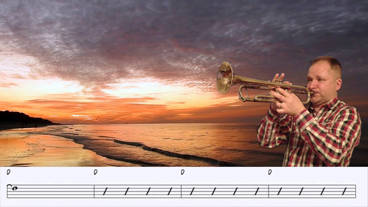 Motivos. Trumpet cover.