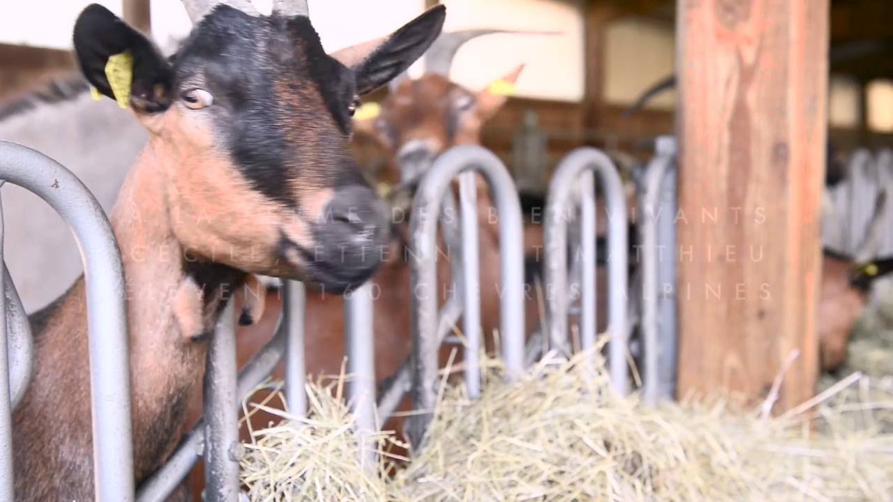 Ferme des Bien Vivants