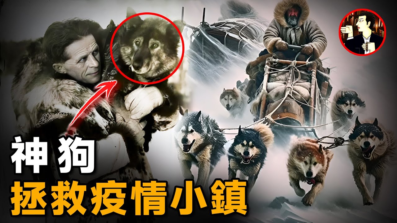20人和150隻狗，在狂風暴雪中疾馳1085公里，創造一場人類歷史上的奇蹟-1925 serum run to Nome
