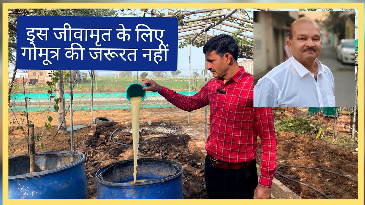 प्राकृतिक खेती में सभी उलझनों का एक समाधान।  #naturalfarming #9991822333