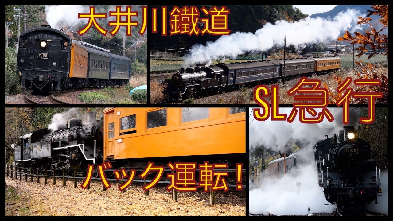 【大井川鐵道 SL急行】かわね路号&南アルプス号　12月中旬なのにまだ紅葉！？バック運転！ 