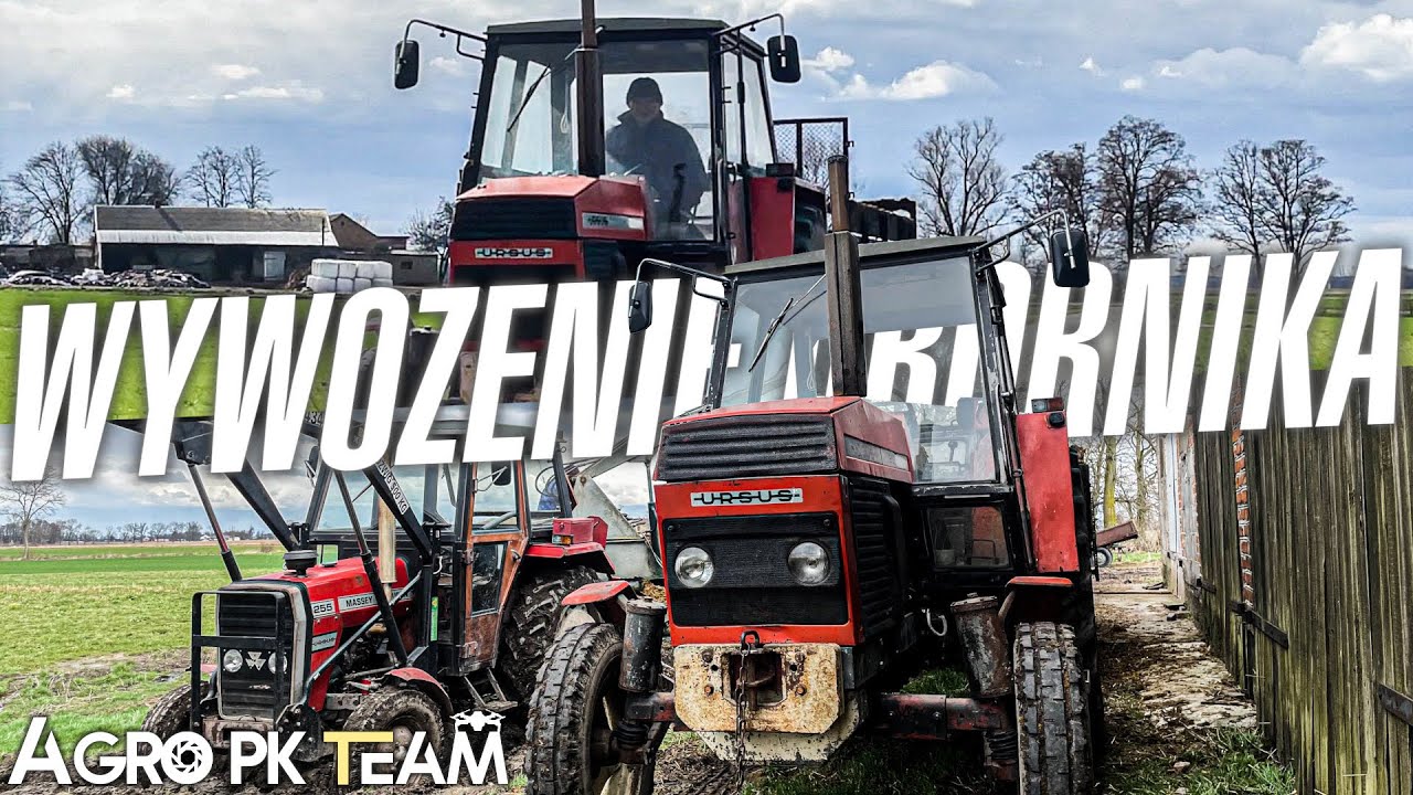 🔥Oporowe wywożenie obornika 2023 || do południa wszystko dobrze szło..✔️ || URSUS C 385😍