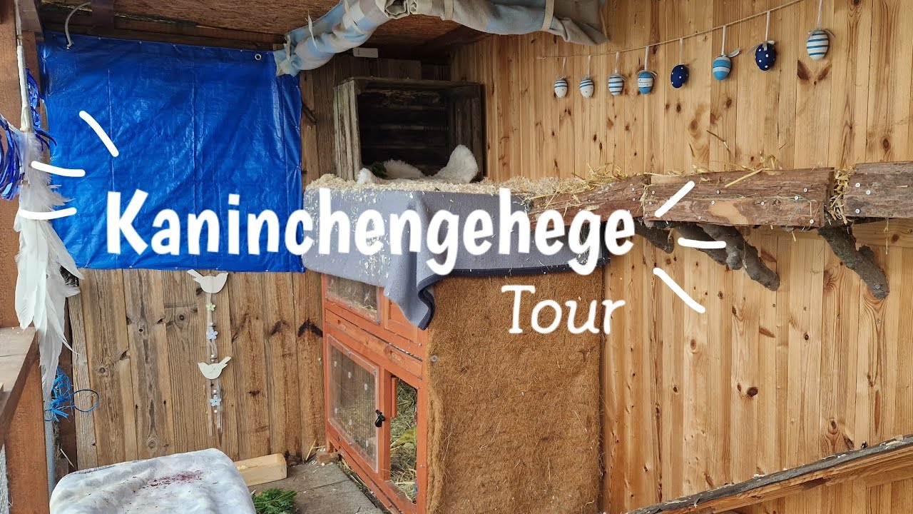 - Cagetour Kaninchenstall - Ich zeige euch mein artgerechtes Kaninchengehege 🐰| Amelies Tierwelt 💕