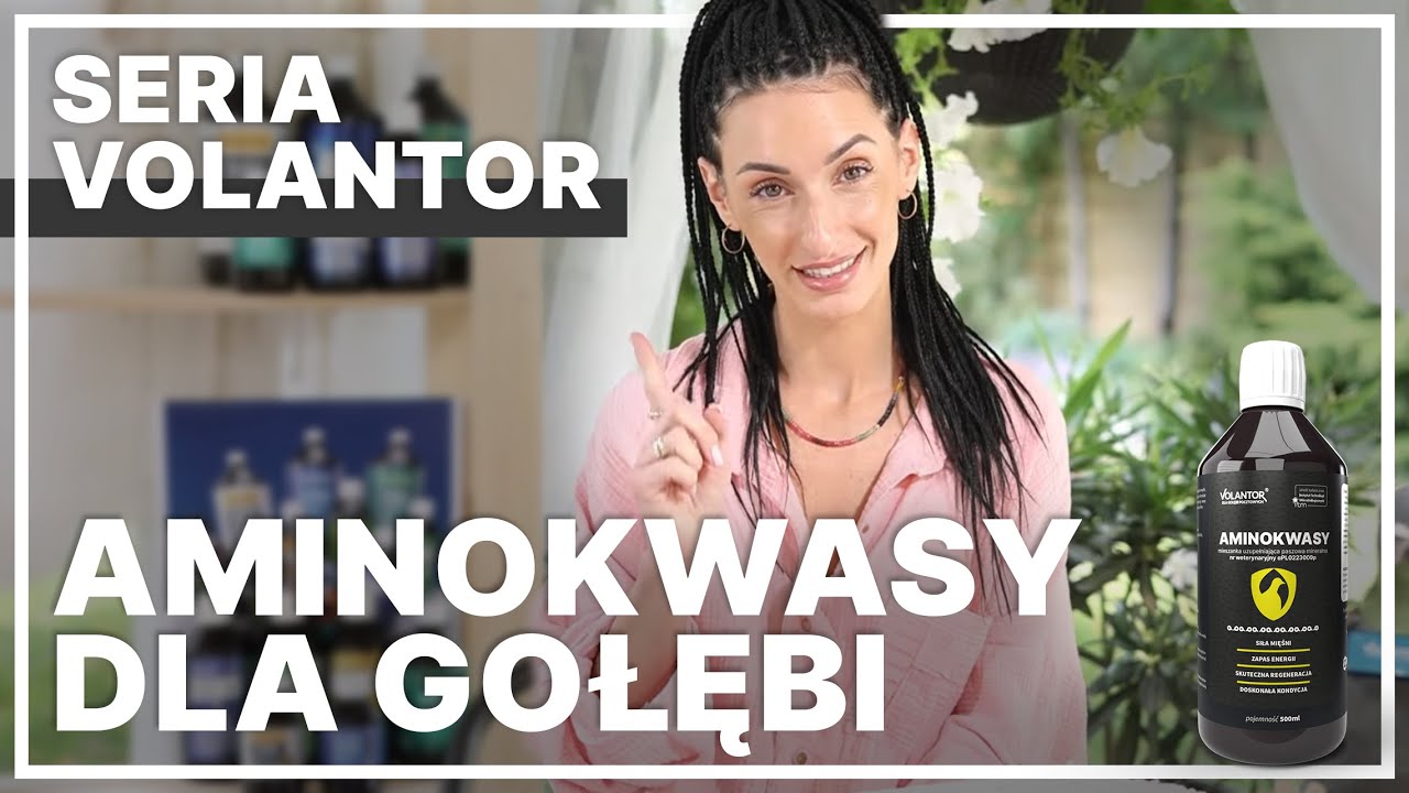 Aminokwasy dla gołębi – siła i zapas energii