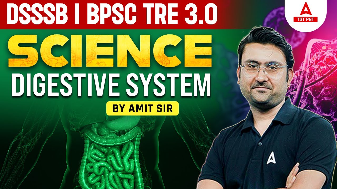 DSSSB/BPSC Tre 3.0 Vacancy 2024 | Digestive System By Amit Sir