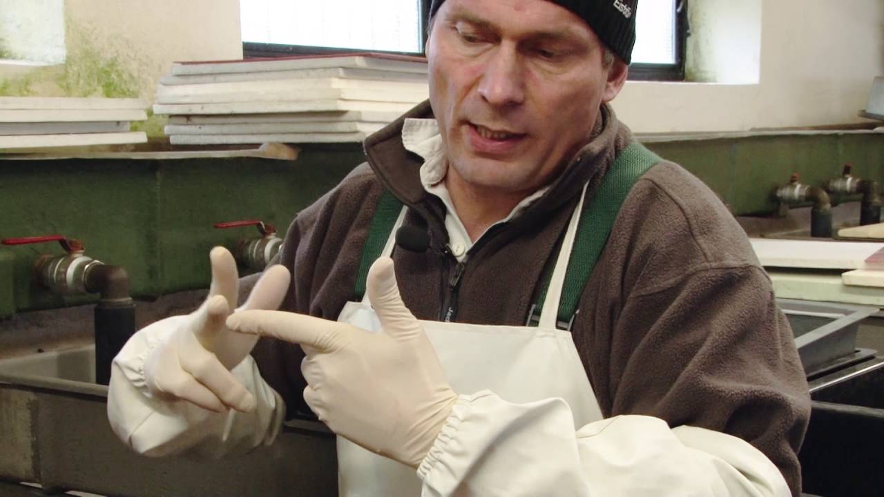 Schwedischer Lachs für sächsische Flüsse – das Wiederansiedlungsprogramm