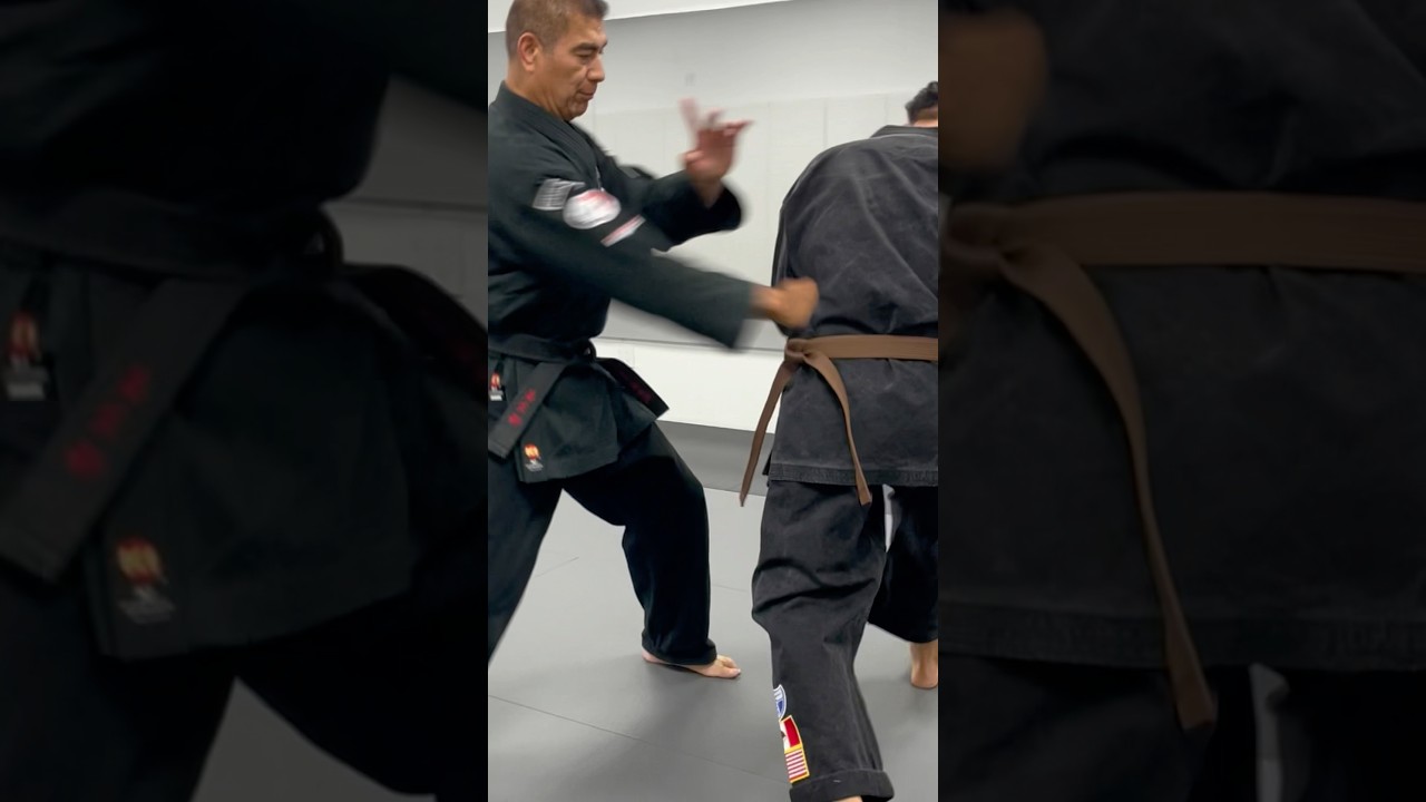 Just move 🥋#kenpo