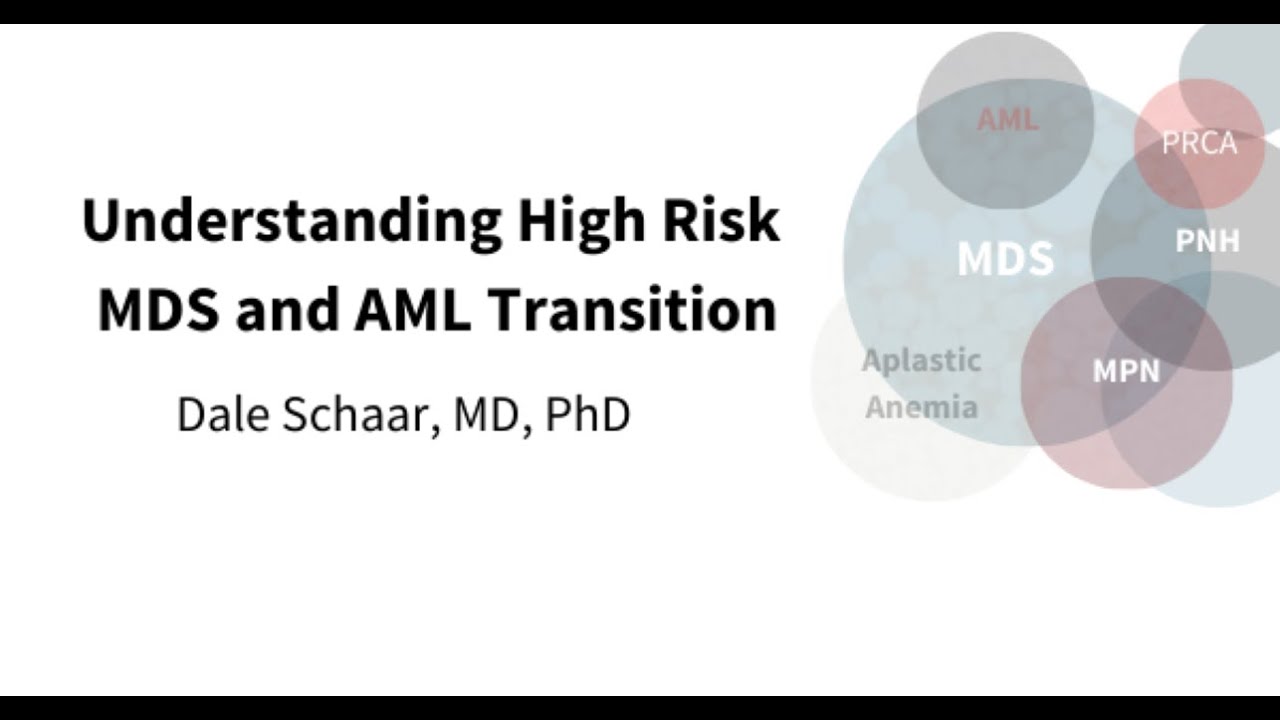 Understanding Higher Risk MDS and the Transition to AML