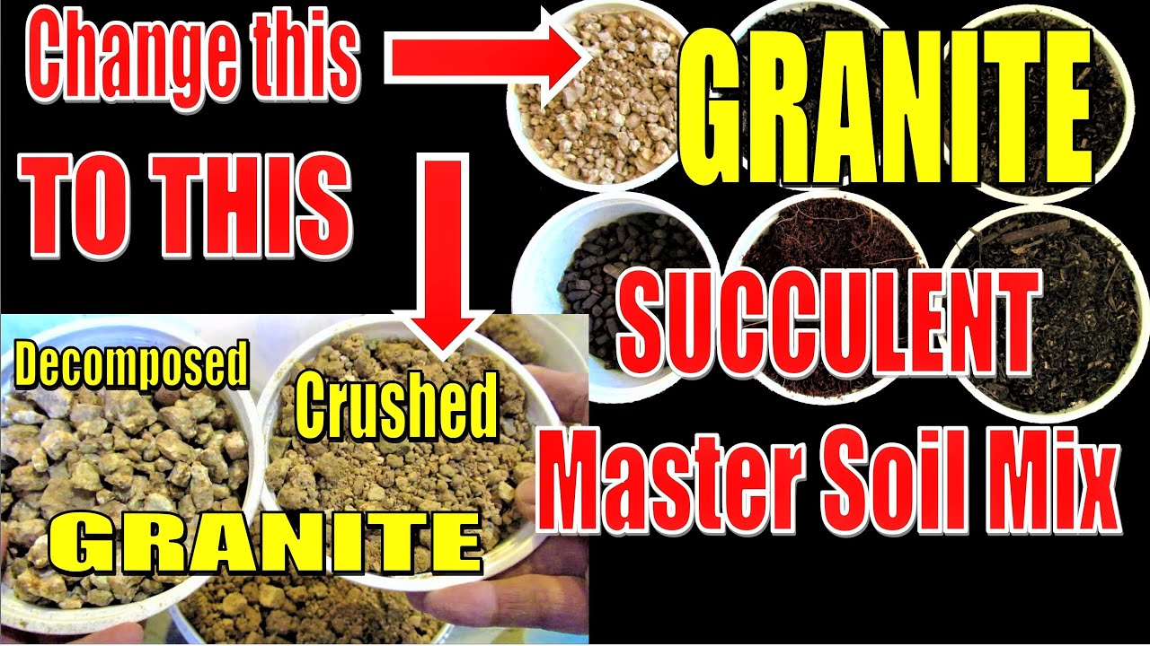 Using CRUSHED GRANITE in LizK Succulent MASTER Soil Mix | GSwLK