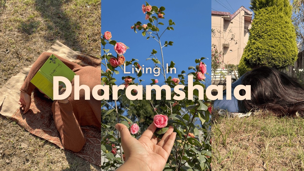 A Day in Dharamshala | Living in a Mountain Airbnb