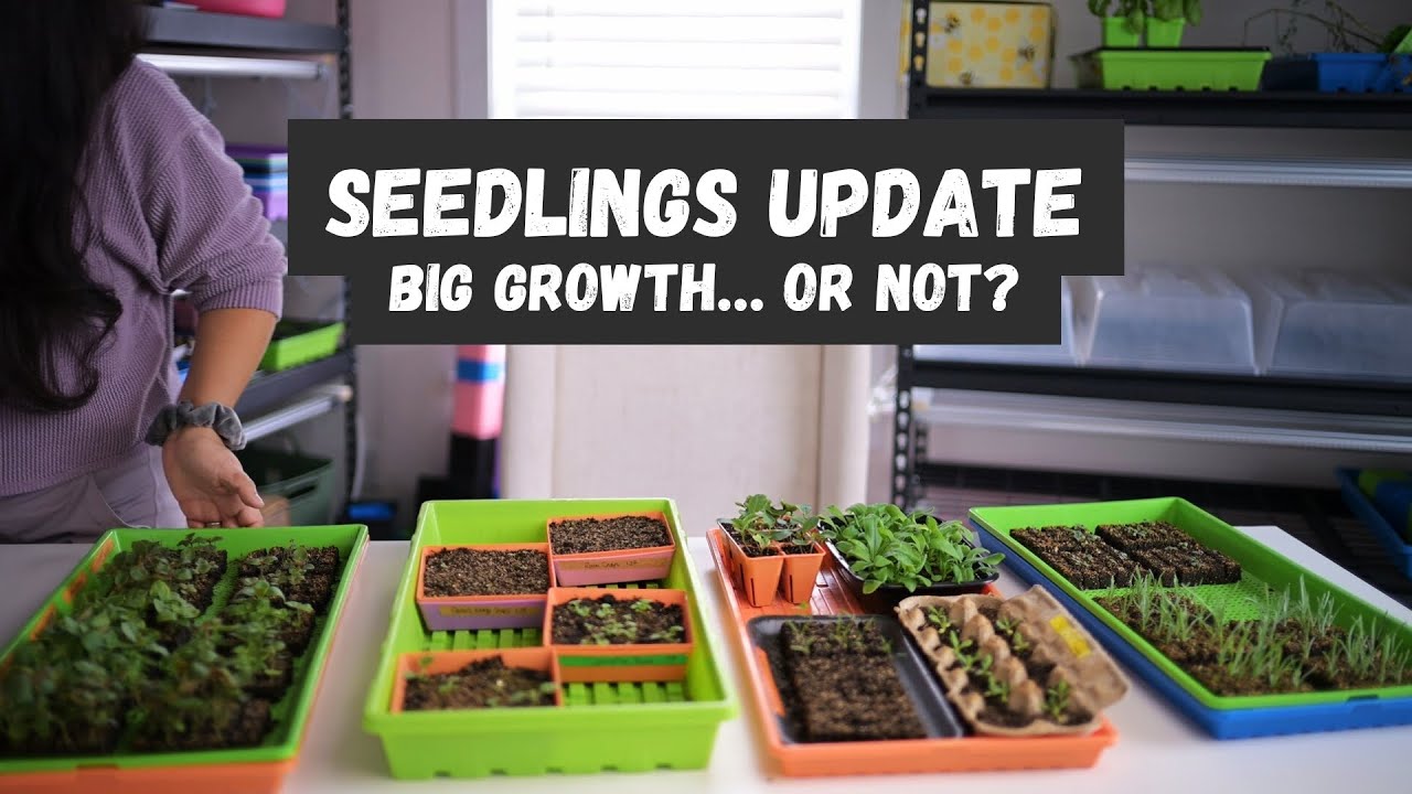 These Seedlings Humble Me REAL Quick 🌸