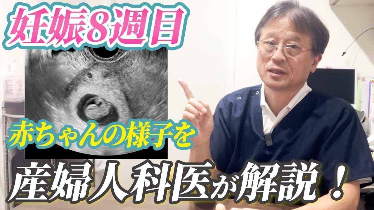 【妊娠3ヶ月】妊婦さんの体の変化を産婦人科医が解説します！ハシイ産婦人科